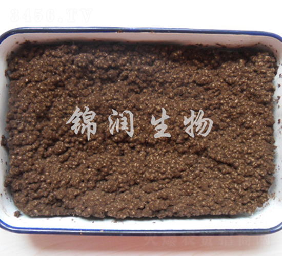 黑曲霉盤子曲-錦潤(rùn)生物