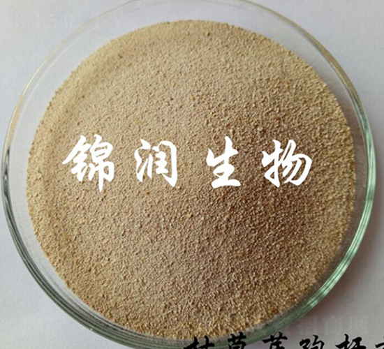 枯草芽孢桿菌-錦潤生物