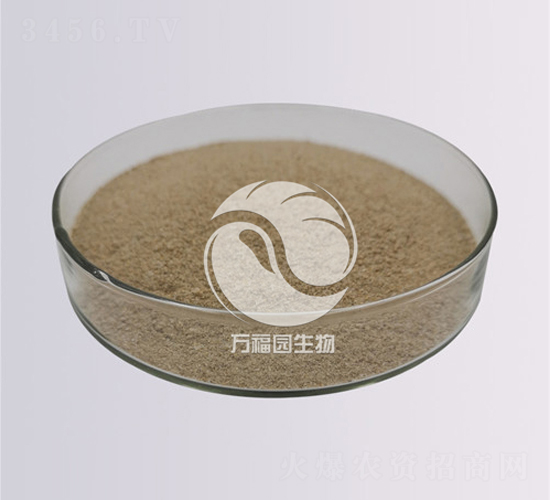 20億淡紫擬青霉-萬福園生物