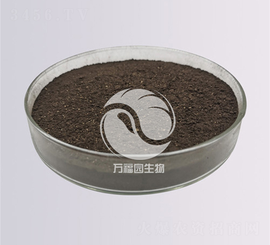 50億黑曲霉-萬福園生物