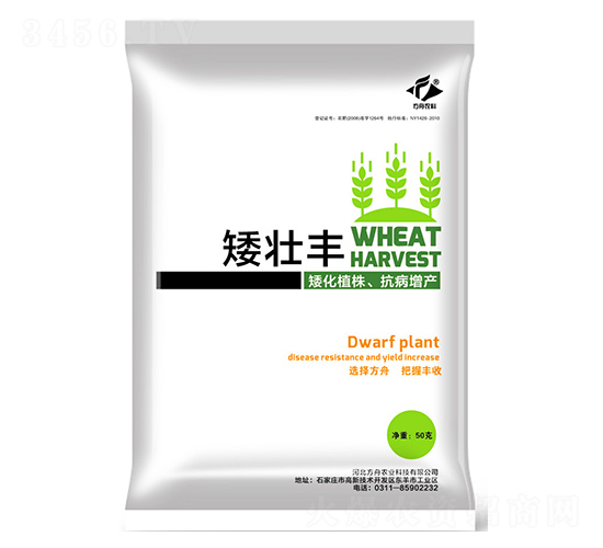 L(zhng){(dio)(ji)-S-r(nng)I(y)