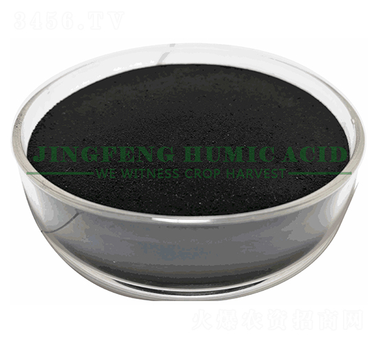 腐殖酸銨粉末-景豐腐植酸