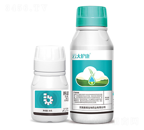 肟菌酯·戊唑醇+云大護(hù)康-聚幫