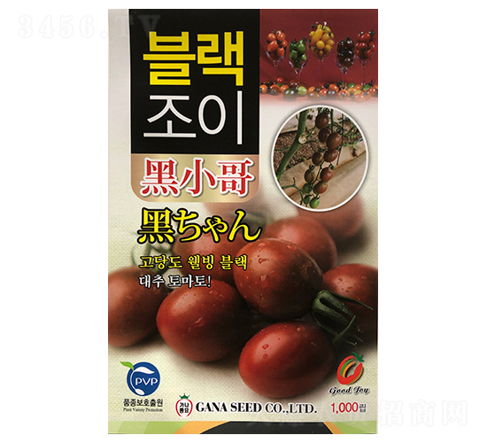 黑小哥-番茄種子-山田盛種苗