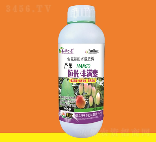 âL(zhng)SM(mn)-ʥf(wn)-