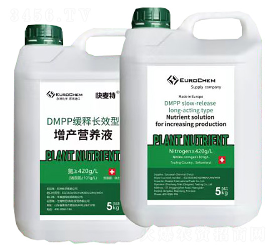 DMPPLЧaIB(yng)Һ--סط