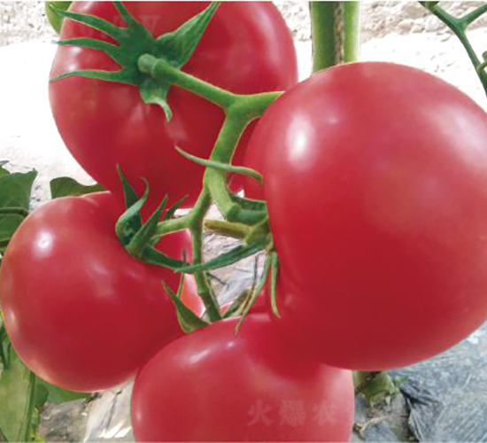 hķ077-ѷN-͝(rn)r(nng)I(y)