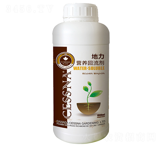 IB(yng)--ЅRr(nng)I(y)