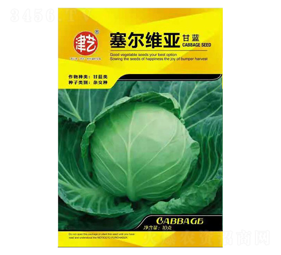甘藍種子-賽爾維亞-邯豐農(nóng)業(yè)