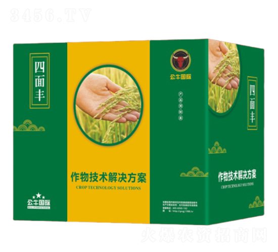 水稻增產技術解決方案-四面豐-公牛國際