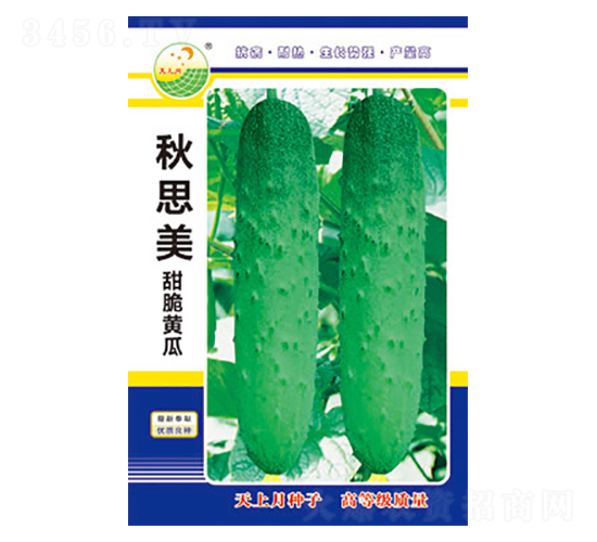 黃瓜種子-秋思美-太樂種業(yè)