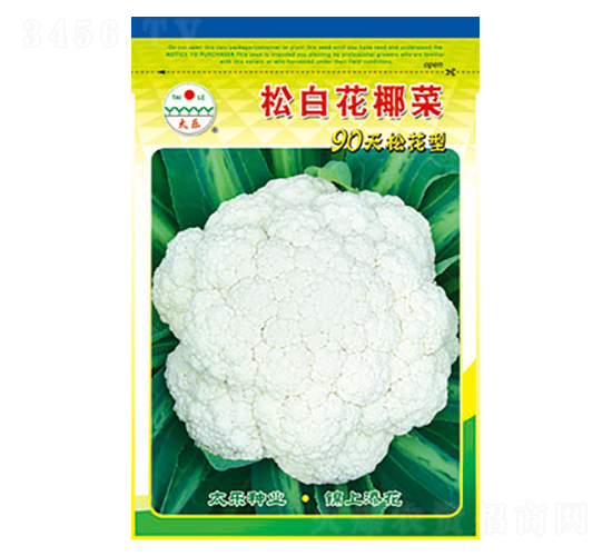 ׻Ҭ˷N-ɰ׻Ҭ-̫(l)NI(y)