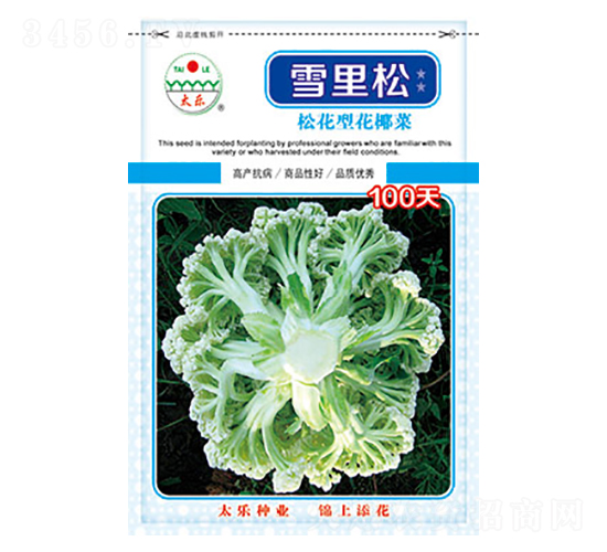 ׻Ҭ˷N-ѩ100-̫NI(y)