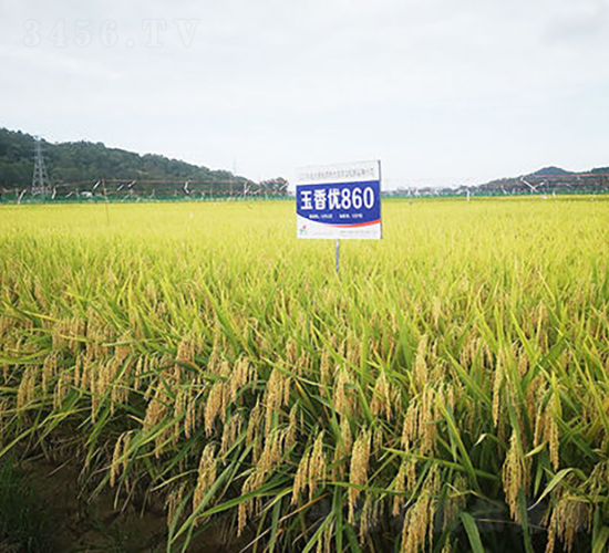 マ(yu)860-ˮN-𽡷NI(y)