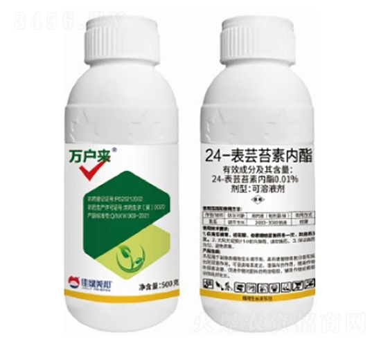 0.01%24-|̦؃Һ-f-