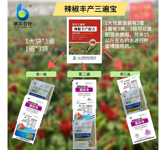 辣椒豐產(chǎn)三遍寶-倍爾農(nóng)化