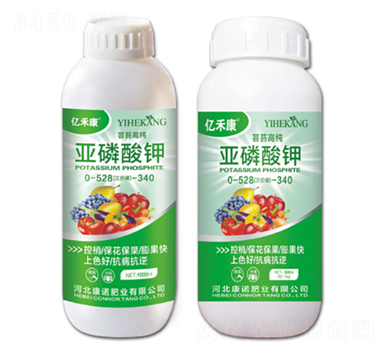 |̦߼0-528-340-|̿-ZʘI(y)