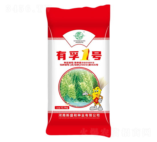 小麥種子-有孚1號(hào)-新盛和種業(yè)