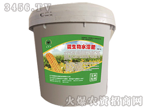 玉米專用微生物沖施肥-盛金源