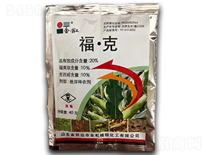 20%ˑҸN40g--r(nng)̩