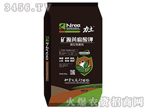 礦源黃腐酸鉀-力土-龍燈