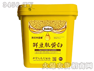 鮮豆肽蛋白-龍燈禾蓓康