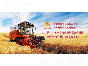2021款4LZ-8B1自走式谷物聯(lián)合收割機(jī)-中聯(lián)收獲
