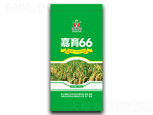 嘉育66-水稻種子-神農(nóng)種業(yè)