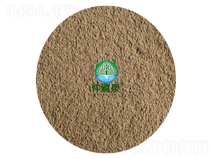 淡紫擬青霉-仲禧泉