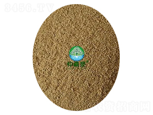 枯草芽孢桿菌（200億-g·非全溶）-仲禧泉