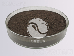 50億黑曲霉-萬福園生物