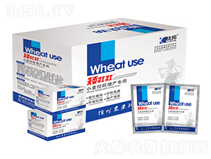 小麥控旺增產(chǎn)專用矮壯壯-快邦生物