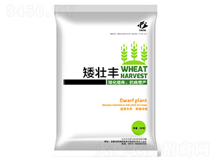 L(zhng){(dio)(ji)-S-r(nng)I(y)