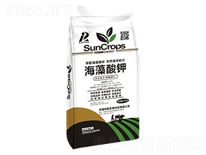 海藻酸鉀20kg-坤陽生物