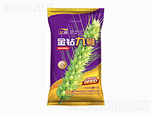金鉆九號(hào)小麥種子-鑫農(nóng)種業(yè)