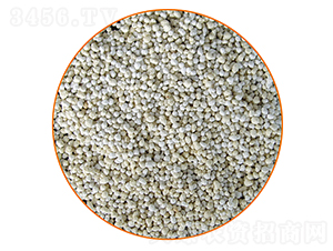 育苗緩釋肥-美稼農(nóng)業(yè)