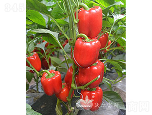 t_F1紺ӼԽ߮a(chn)tɫ𽷣-𽷷N-֠˹