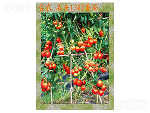 _(ti)r(nng)ʯ^1302-ѷN-_(ti)r(nng)N