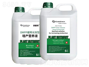 DMPPLЧaIB(yng)Һ--סط