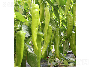 37-74-N-r(nng)r(nng)I(y)