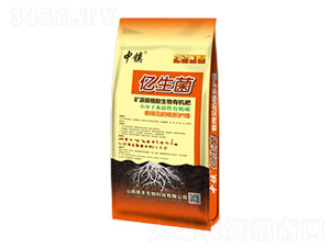 礦源腐植酸生物有機(jī)肥（黃）-億生菌-晉豐生物