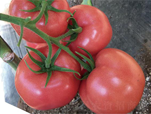 ͝W؃(yu)-ѷN-͝rI(y)