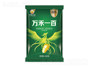萬禾一百玉米雜交種-中農(nóng)賽博