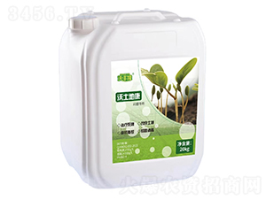 ؿã-S¡-(qing)