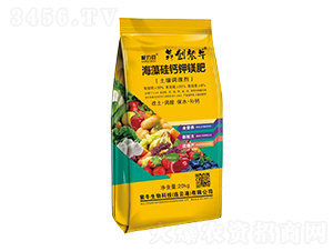 海藻硅鈣鉀鎂肥(土壤調(diào)理劑)-根力豆-犇創(chuàng)紫牛