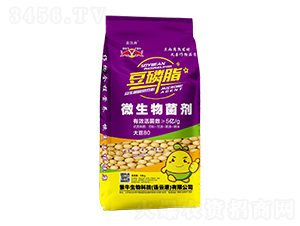 豆磷脂微生物菌劑-鑫凱燕-犇創(chuàng)紫牛