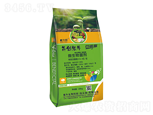 微生物菌劑-根力豆-犇創(chuàng)紫牛