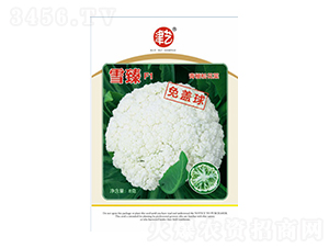 花菜種子-雪臻F1-邯豐農(nóng)業(yè)