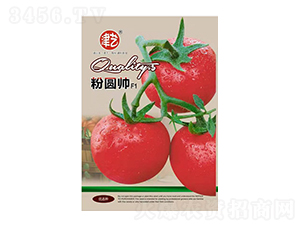 番茄種子-粉圓帥-邯豐農(nóng)業(yè)