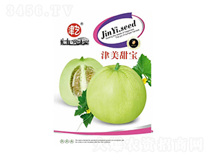 香瓜種子-津美甜寶-邯豐農(nóng)業(yè)